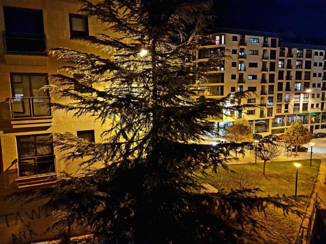 Apartamento Puente Romano Ourense Eksteriør billede